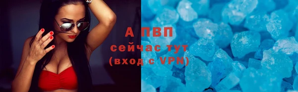 мдпв Инсар