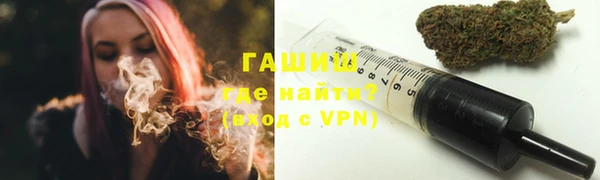 мдпв Инсар