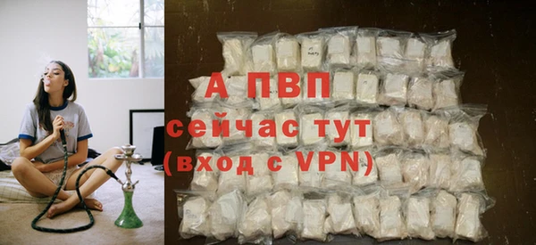 индика Зерноград