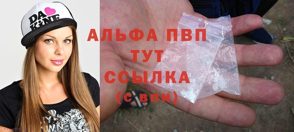 индика Зерноград